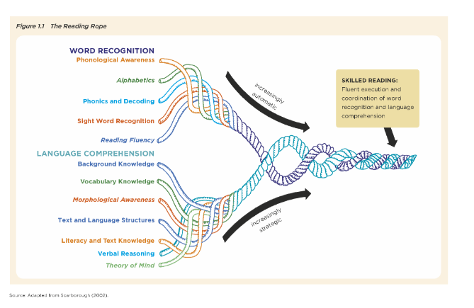 RM2024 PL TeachingReadingRope