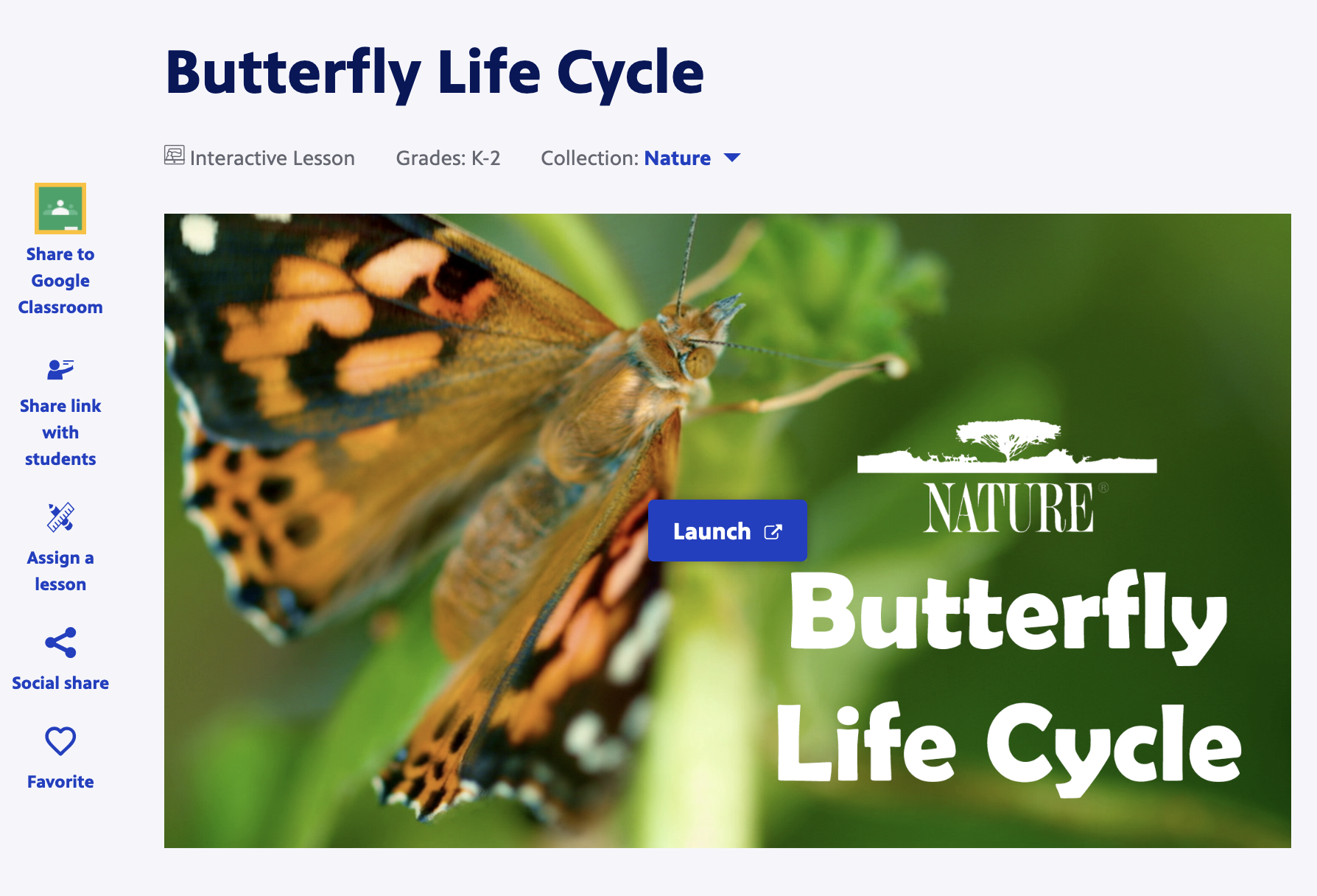 chapter16lifecycle