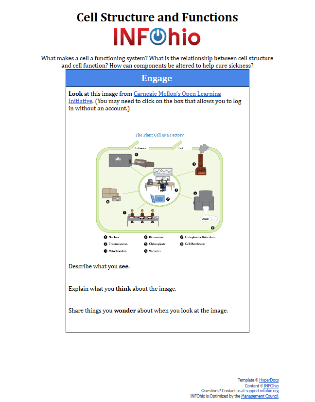 Biology: Cell Structure and Functions HyperDoc Lesson Plan