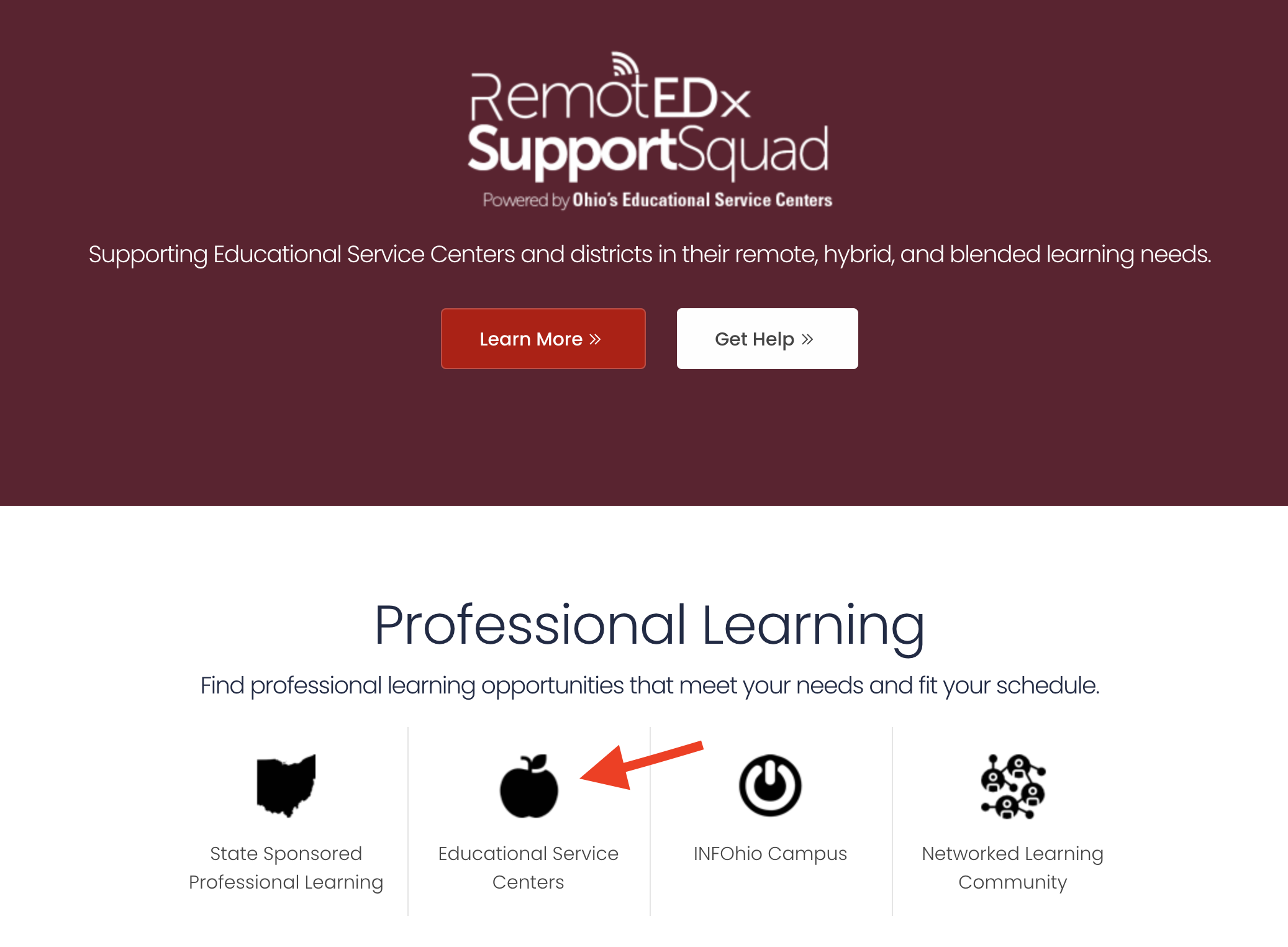Professional Learning Opportunities from the RemotEDx Support Squad